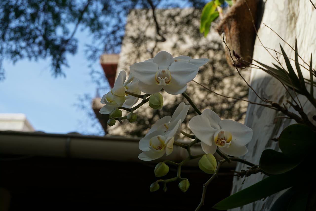 Pouso Da Garca Acomodação com café da manhã Cabo Frio Exterior foto