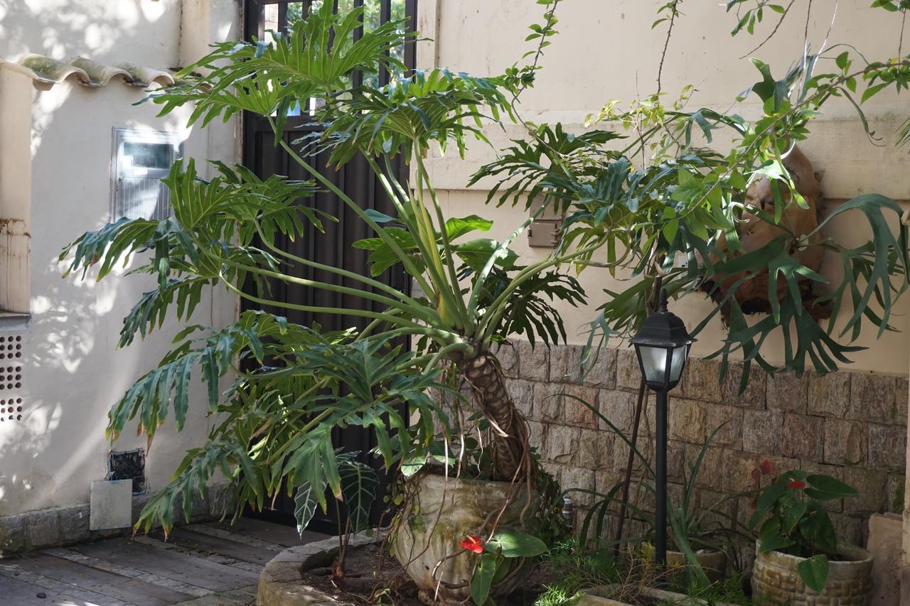 Pouso Da Garca Acomodação com café da manhã Cabo Frio Exterior foto